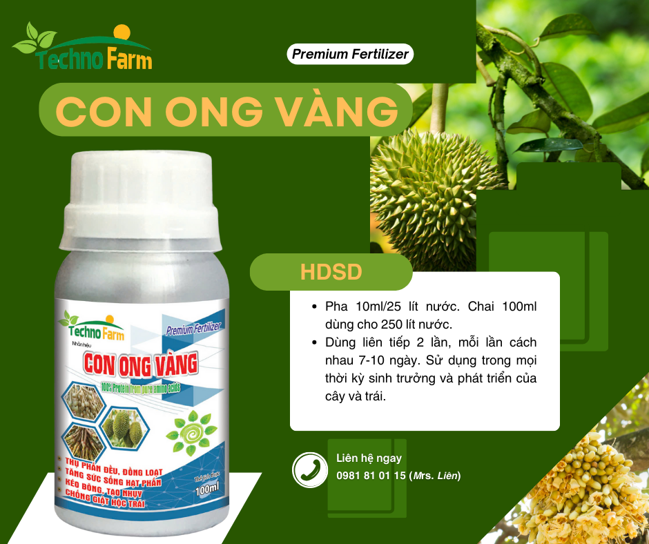 CON ONG VÀNG