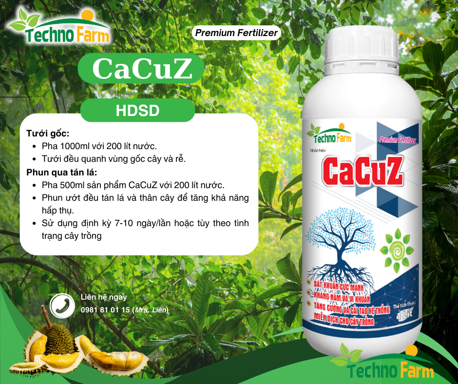CaCuz